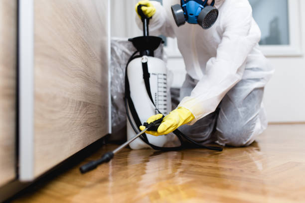 Best Wasp Removal Services  in Mclean, TX