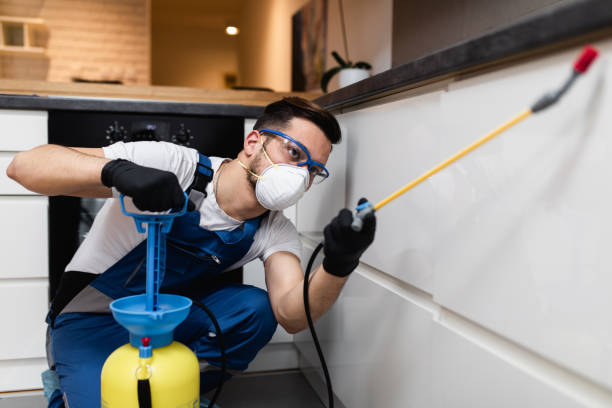  Mclean, TX Pest Control Pros