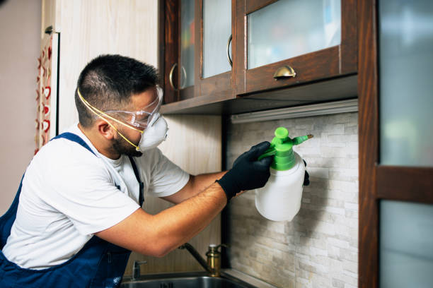 Best Exterminator Services  in Mclean, TX