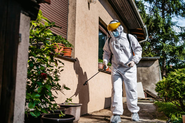 Best Best Pest Control Near Me  in Mclean, TX