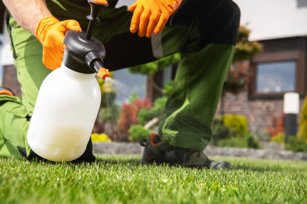 Best Affordable Pest Control Services  in Mclean, TX