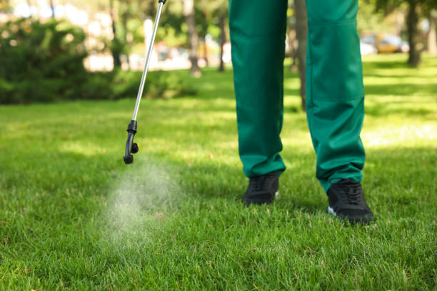 Best Residential Pest Control  in Mclean, TX