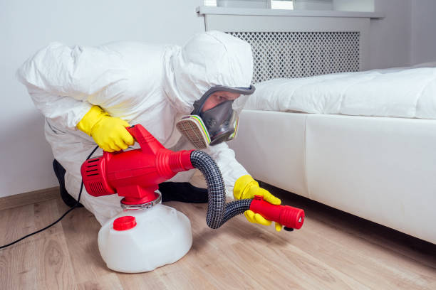 Best Pest Inspection Near Me  in Mclean, TX