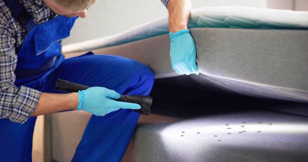 Best Pest Removal Services  in Mclean, TX