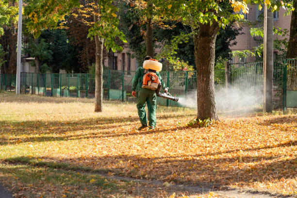Best Pest Control Near Me  in Mclean, TX